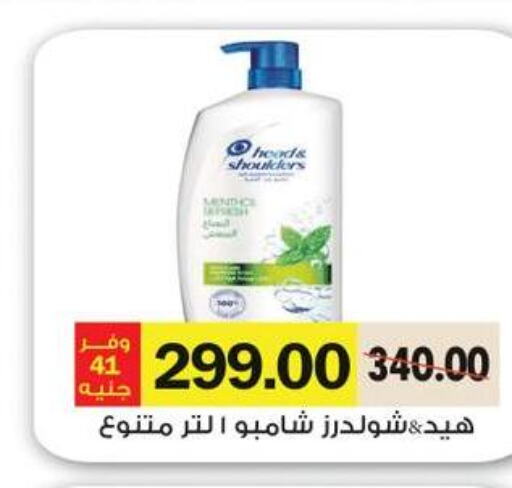 Shampoo / Conditioner  in رويال هاوس in Egypt - القاهرة