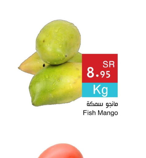 Mango   in Hala Markets in KSA, Saudi Arabia, Saudi - Jeddah
