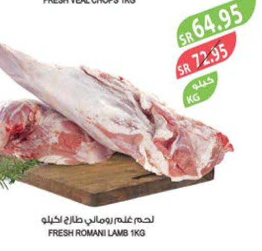  Mutton / Lamb  in المزرعة in مملكة العربية السعودية, السعودية, سعودية - الباحة