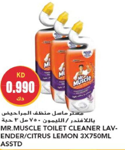 MR. MUSCLE Toilet / Drain Cleaner  in Grand Hyper in Kuwait - Kuwait City