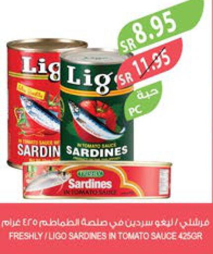  Sardines - Canned  in Farm  in KSA, Saudi Arabia, Saudi - Al-Kharj