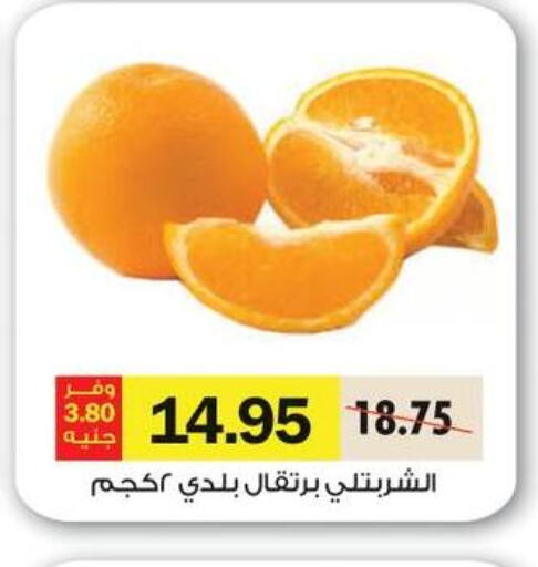  Orange  in رويال هاوس in Egypt - القاهرة