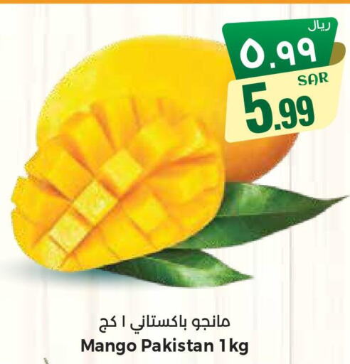 Mango Mango  in City Flower in KSA, Saudi Arabia, Saudi - Jubail