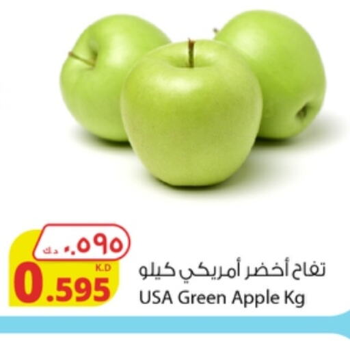  Apples  in شركة المنتجات الزراعية الغذائية in الكويت - محافظة الجهراء