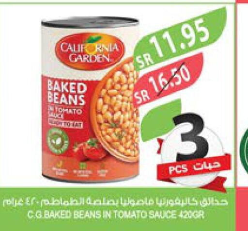 CALIFORNIA GARDEN Baked Beans  in المزرعة in مملكة العربية السعودية, السعودية, سعودية - تبوك