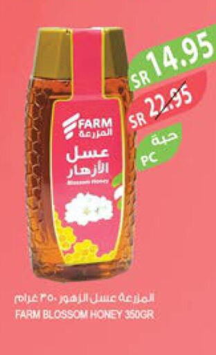  Honey  in Farm  in KSA, Saudi Arabia, Saudi - Qatif