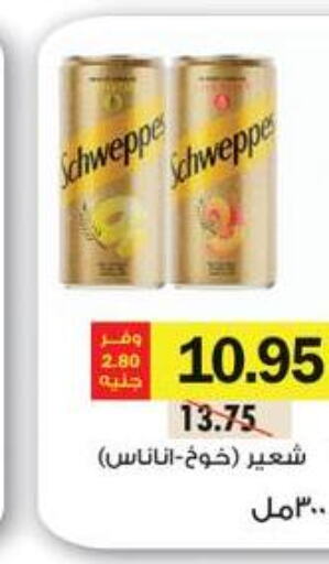 SCHWEPPES   in Royal House in Egypt - Cairo