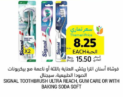 SIGNAL Toothbrush  in Tamimi Market in KSA, Saudi Arabia, Saudi - Khafji