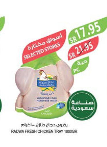  Fresh Chicken  in المزرعة in مملكة العربية السعودية, السعودية, سعودية - نجران