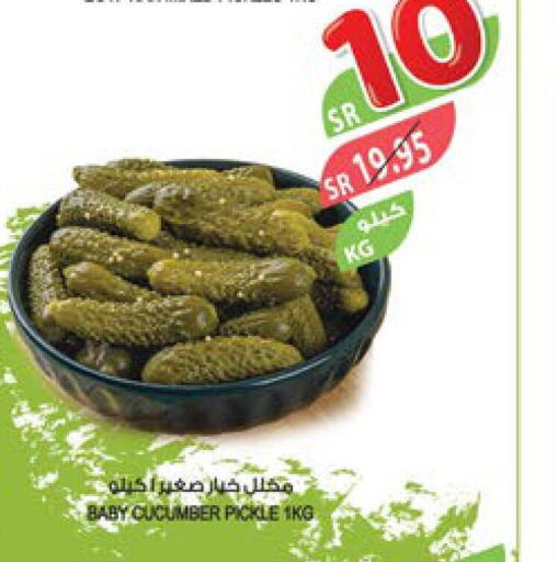  Pickle  in المزرعة in مملكة العربية السعودية, السعودية, سعودية - تبوك