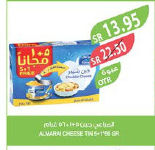 ALMARAI Cheddar Cheese  in Farm  in KSA, Saudi Arabia, Saudi - Yanbu