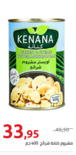  Tuna - Canned  in Hyper One  in Egypt - Cairo