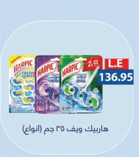 HARPIC Toilet / Drain Cleaner  in Royal House in Egypt - Cairo