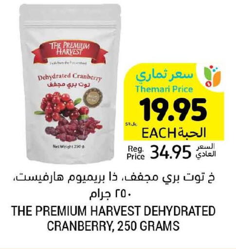 GOODY Tuna - Canned  in أسواق التميمي in مملكة العربية السعودية, السعودية, سعودية - سيهات