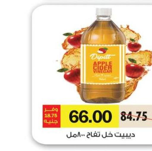  Vinegar  in رويال هاوس in Egypt - القاهرة
