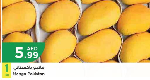 Mango   in Istanbul Supermarket in UAE - Sharjah / Ajman