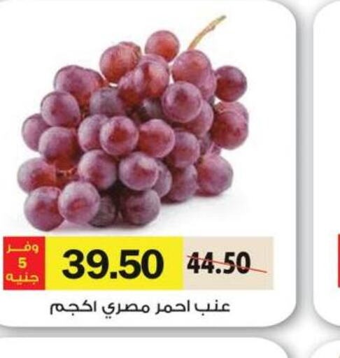  Grapes  in رويال هاوس in Egypt - القاهرة