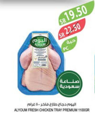 AL YOUM Fresh Chicken  in Farm  in KSA, Saudi Arabia, Saudi - Al Bahah