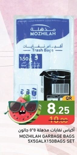  Ladies Bag  in أسواق رامز in قطر - أم صلال