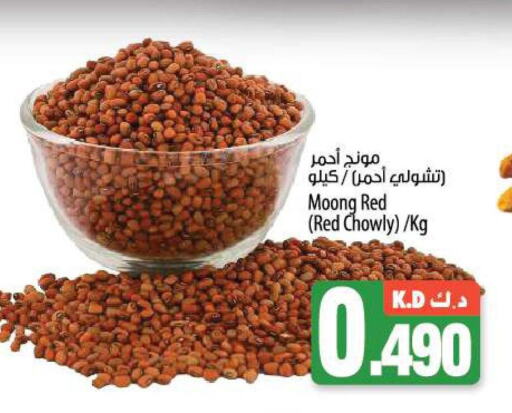OLSENMARK   in Mango Hypermarket  in Kuwait - Ahmadi Governorate