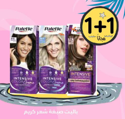 PALETTE Hair Colour  in صيدليات غاية in مملكة العربية السعودية, السعودية, سعودية - الطائف