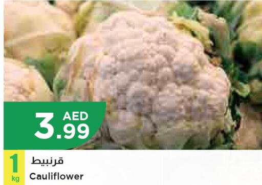  Cauliflower  in Istanbul Supermarket in UAE - Sharjah / Ajman