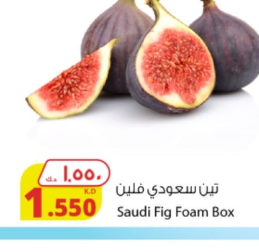  in شركة المنتجات الزراعية الغذائية in الكويت - مدينة الكويت