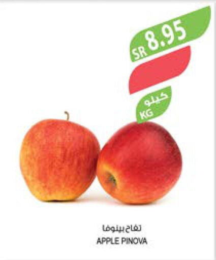  Apples  in Farm  in KSA, Saudi Arabia, Saudi - Qatif