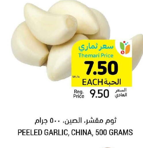  Garlic  in Tamimi Market in KSA, Saudi Arabia, Saudi - Buraidah