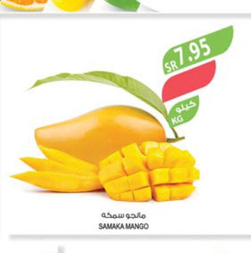 Mango   in المزرعة in مملكة العربية السعودية, السعودية, سعودية - أبها