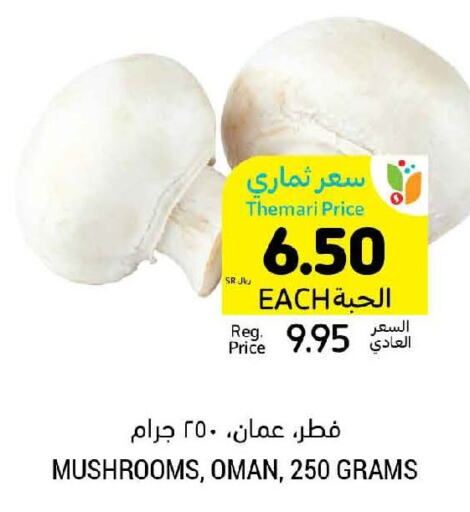  Mushroom  in Tamimi Market in KSA, Saudi Arabia, Saudi - Khafji