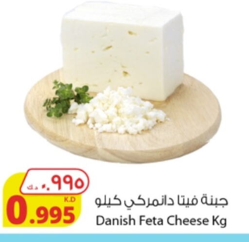  Feta  in Agricultural Food Products Co. in Kuwait - Kuwait City