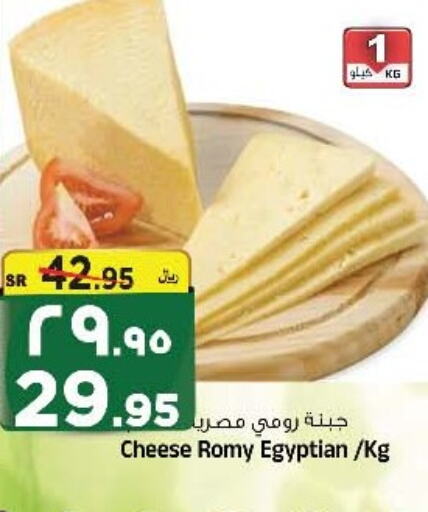  Roumy Cheese  in المدينة هايبرماركت in مملكة العربية السعودية, السعودية, سعودية - الرياض
