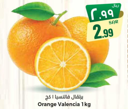  Orange  in ستي فلاور in مملكة العربية السعودية, السعودية, سعودية - الجبيل‎