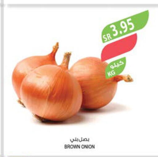  Onion  in المزرعة in مملكة العربية السعودية, السعودية, سعودية - المنطقة الشرقية