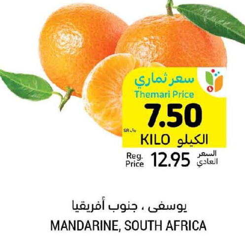  Orange  in Tamimi Market in KSA, Saudi Arabia, Saudi - Jubail