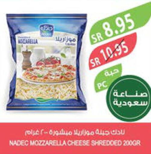 NADEC Mozzarella  in Farm  in KSA, Saudi Arabia, Saudi - Arar