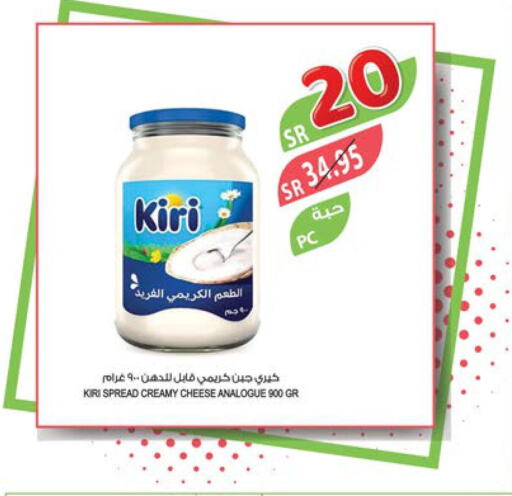 KIRI Analogue Cream  in Farm  in KSA, Saudi Arabia, Saudi - Tabuk