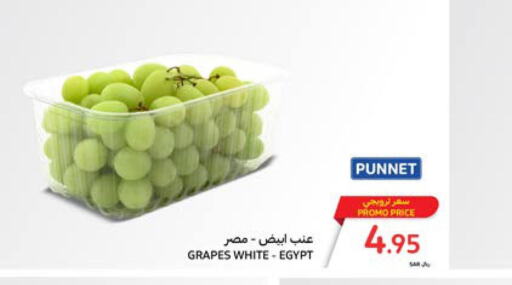  Grapes  in كارفور in مملكة العربية السعودية, السعودية, سعودية - المدينة المنورة