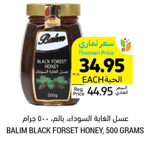  Honey  in Tamimi Market in KSA, Saudi Arabia, Saudi - Dammam
