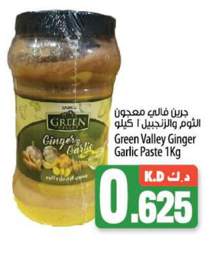  Garlic Paste  in Mango Hypermarket  in Kuwait - Ahmadi Governorate