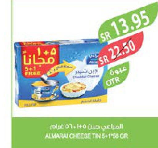 ALMARAI Cheddar Cheese  in Farm  in KSA, Saudi Arabia, Saudi - Dammam