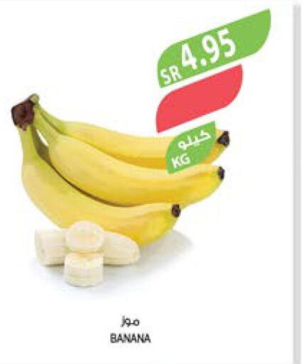  Banana  in المزرعة in مملكة العربية السعودية, السعودية, سعودية - جدة