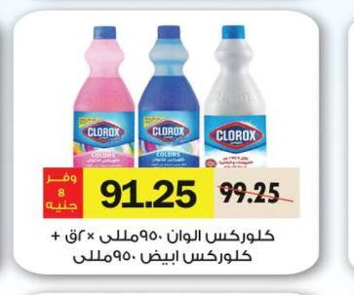 CLOROX General Cleaner  in Royal House in Egypt - Cairo
