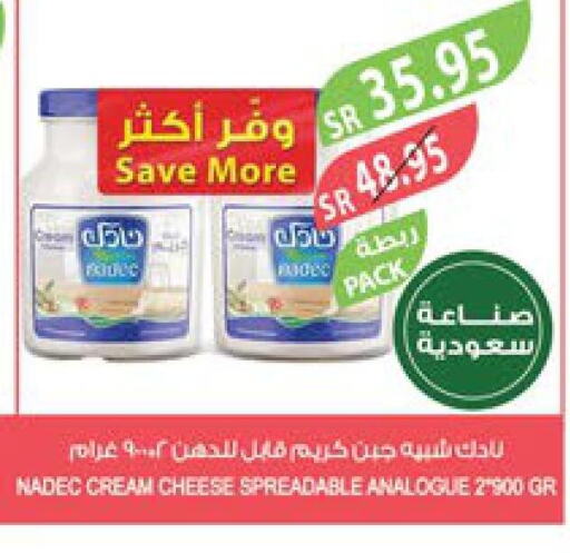 NADEC Analogue Cream  in Farm  in KSA, Saudi Arabia, Saudi - Jazan