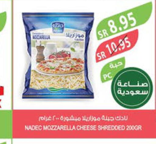 NADEC Mozzarella  in Farm  in KSA, Saudi Arabia, Saudi - Yanbu