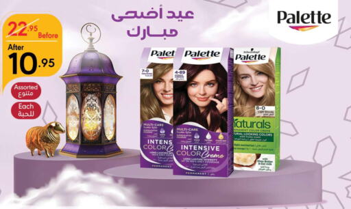 PALETTE Hair Colour  in مانويل ماركت in مملكة العربية السعودية, السعودية, سعودية - الرياض