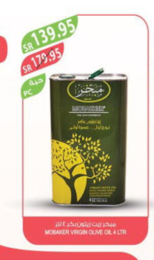  Extra Virgin Olive Oil  in Farm  in KSA, Saudi Arabia, Saudi - Najran