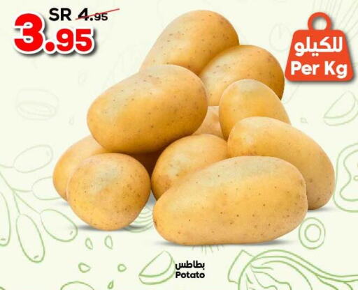  Potato  in الدكان in مملكة العربية السعودية, السعودية, سعودية - المدينة المنورة