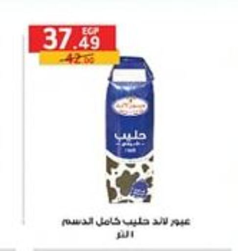 ALMARAI Flavoured Milk  in الحبيب ماركت in Egypt - القاهرة